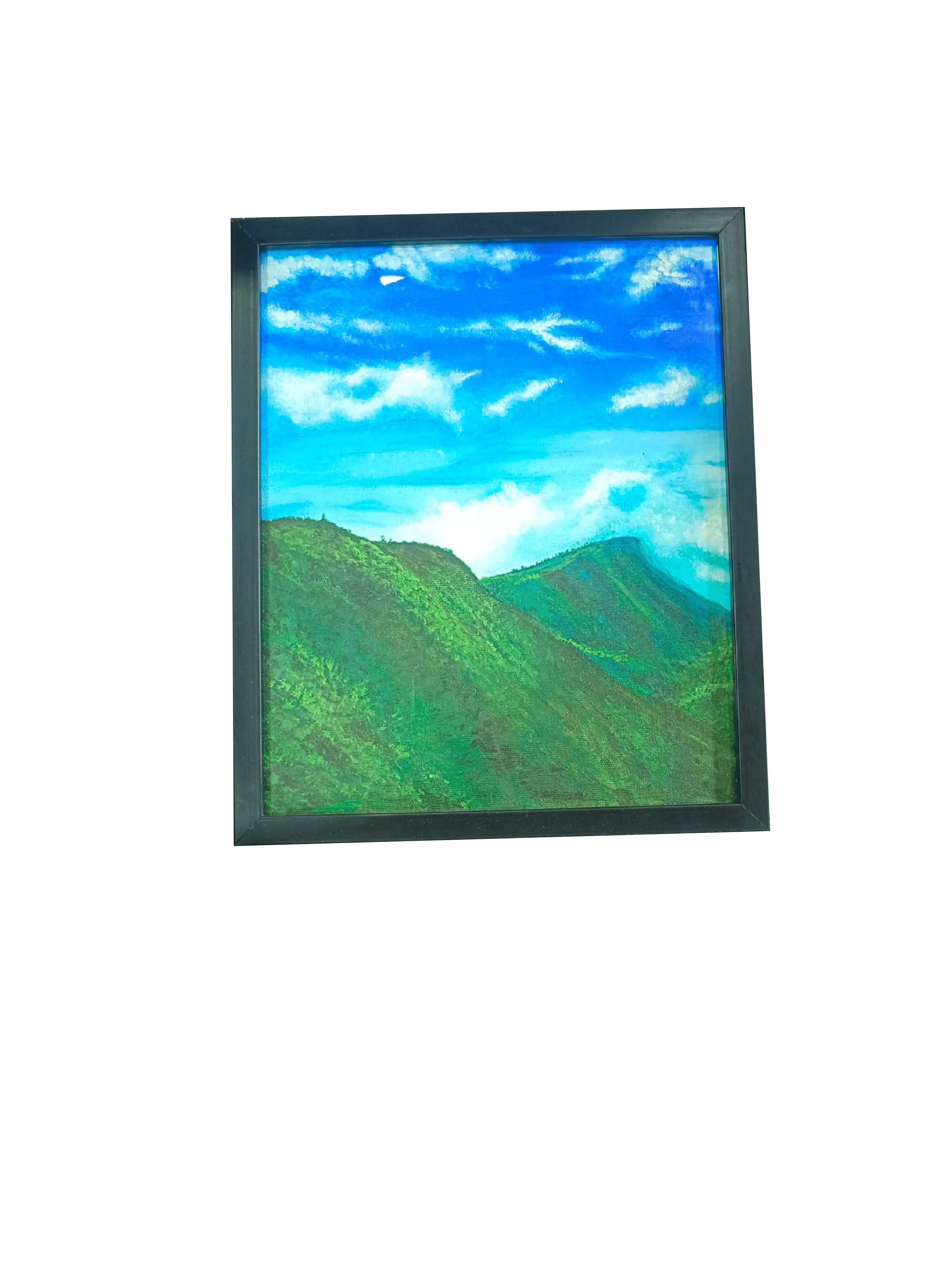 Plastic Frame 1